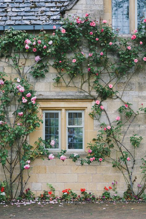 Flower Covered House, Climbing Roses On House, Climbing Rose Garden, House With Flowers, Vintage Decorating Ideas, Garden Fairy Costume, Dream Garden Backyards, Garden River, Rustic Garden Ideas