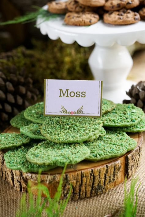 Boho Enchanted Forest Food Ideas. Click here to download #GirlsPartyIdeas Fudge Tree Rings Recipe, 1sr Birthday Food Ideas, Woodland Breakfast Party, Crystals Theme Party, Forest Party Food, Masquerade Food, Fox Party Ideas, Forest Party Theme, Party Theme Ideas For Kids