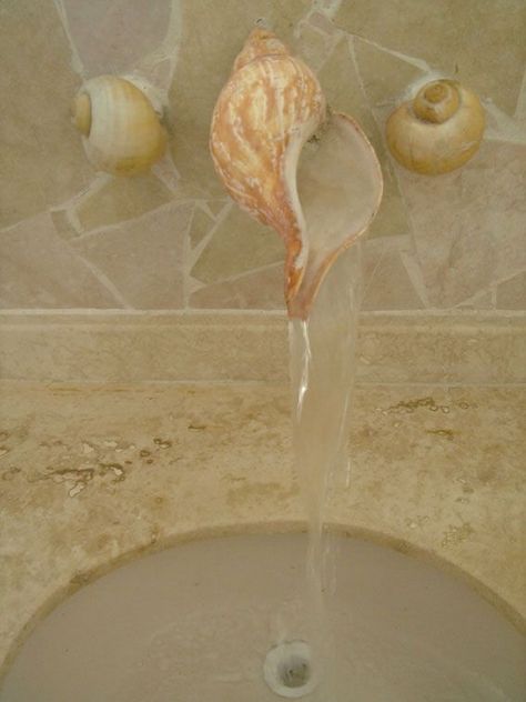 Sea Shell Bathroom Ideas, Seashell Sink, Sea Shell Bathroom, Shell Bathroom Sink, Seashell House, Shell Bathroom, Shell Sink, Seashell Bathroom, Unique Bathroom Faucets