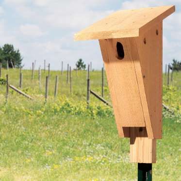 Build a Bluebird HouseBluebird populations declined during the first half of the last century as habitat loss and the introduction of 'pest' bird species claimed many of the bluebird’s natural nesting sites. Now, however, bluebirds are making a dramatic comeback, thanks to thousands of dedicated folks who have put up bluebird nesting boxes. Here’s how to build one for your yard.Do you have the DIY bug but only a Saturday morning free to get projects done? Here are 101 amazing Sat Blue Bird Houses Diy, Bluebird Houses, Bluebird House Plans, Diy Swing, Bluebird House, Cedar Boards, Bird House Plans, Herb Gardens, Bird House Kits