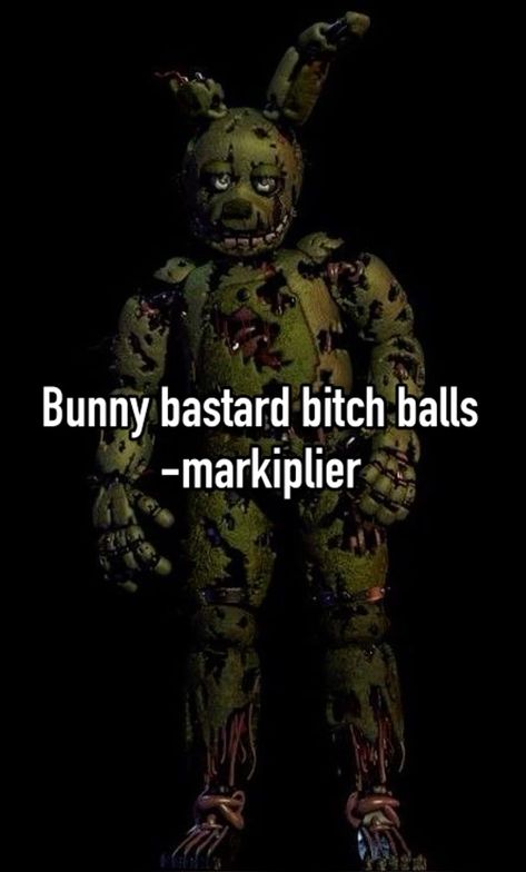 Bean Bunny, Fnaf Springtrap, Wings Of Fire Dragons, Fnaf 1, Fnaf Stuff, Fnaf Memes, William Afton, Fnaf Funny, Masked Man