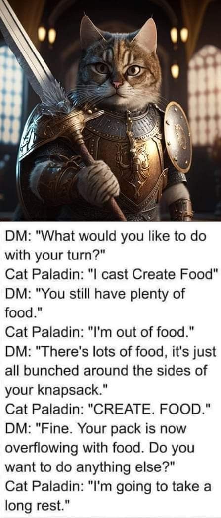 Dungeons And Dragons Funny, D&d Paladin, Dnd Cook, Dnd Paladin, D D Funny, Dnd Memes, Dnd Stories, Dungeons And Dragons Memes, Best Memes Ever