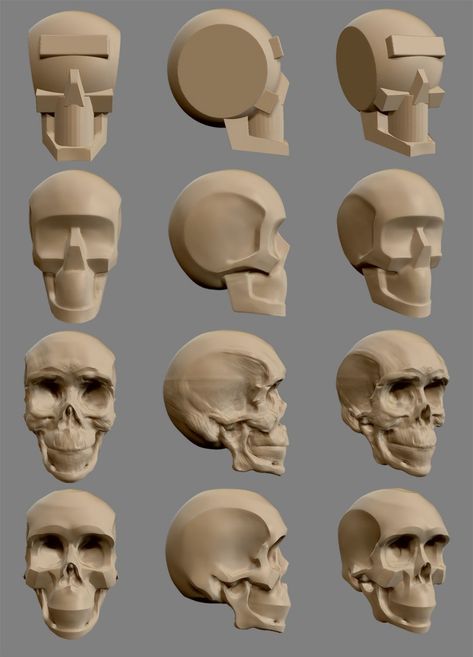 skull process Skull 360 Reference, How To Sculpt A Skull, Sculpture Tutorial, Skull Anatomy, Skull Sculpture, Wood Carving Faces, Anatomy Sculpture, Sculpture Techniques, Sculpture Art Clay