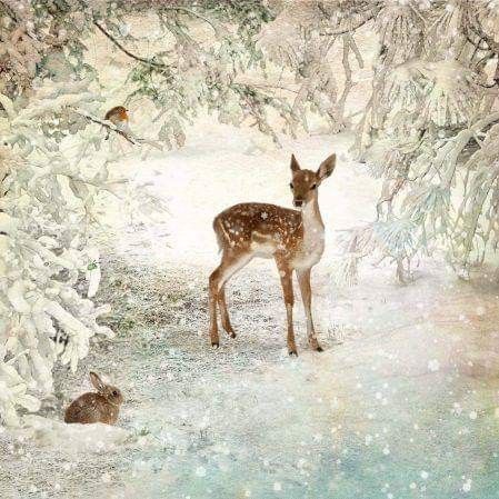 동화 삽화, Christmas Landscape, Bug Art, Winter Images, Winter Scenery, Snow Scenes, A Deer, Winter Pictures, Christmas Scenes