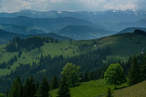 Carpathian Mountains in Ukraine... Ukraine Landscape, Carpathian Mountains Ukraine, 3d Room, Carpathian Mountains, Mountain Wallpaper, World Of Darkness, Vampire Diaries, Natural Beauty, Ukraine