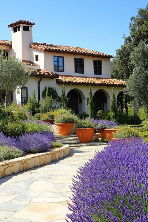 Mediterranean Garden Plants, Mediterranean Hillside Garden, Mediterranean Planting Scheme, Portuguese Garden, Mediterranean Plants Tuscan Garden, Mediterranean Climate Landscape, Mediterranean Climate, Luxury Mediterranean Homes, Mediterranean Gardens