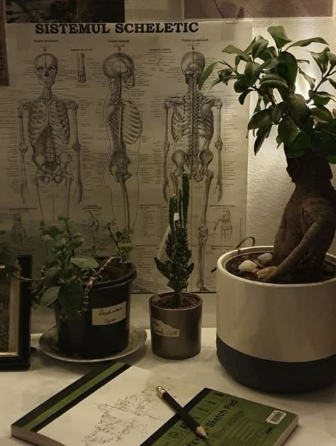 Goblin Academia Aesthetic, Dark Green Study Aesthetic, Green Academia Room, Green Academia Bedroom, Witchy Academia Aesthetic, Witch Academia Aesthetic, Botanist Aesthetic, Goblin Academia, Nature Academia