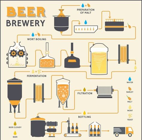 Fruit Drinks Alcohol, Beer Making Process, Beer Brewing Process, Beer Facts, All Grain Brewing, Beer Ingredients, Beer Factory, Alcohol Dispenser, Brewing Recipes