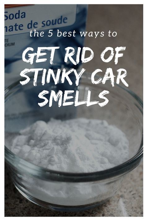 How To Keep Your Car Smelling Good, Car Odor Eliminator Diy, Car Smell Hacks, Smell Good Hacks, Odor Eliminator Diy, Car Smell Good, Car Odor Eliminator, Mum Hacks, Mold Smell