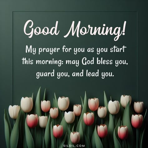 Biblical Morning Quotes, Biblical Good Morning Quotes, Blessed Morning Quotes Inspiration, Good Morning Quotes Bible Verse, Good Morning Spiritual Quotes Friends, Good Morning God Bless You, Good Morning Angel Quotes, Good Morning Spiritual Quotes Scriptures, Morning Blessings Inspirational