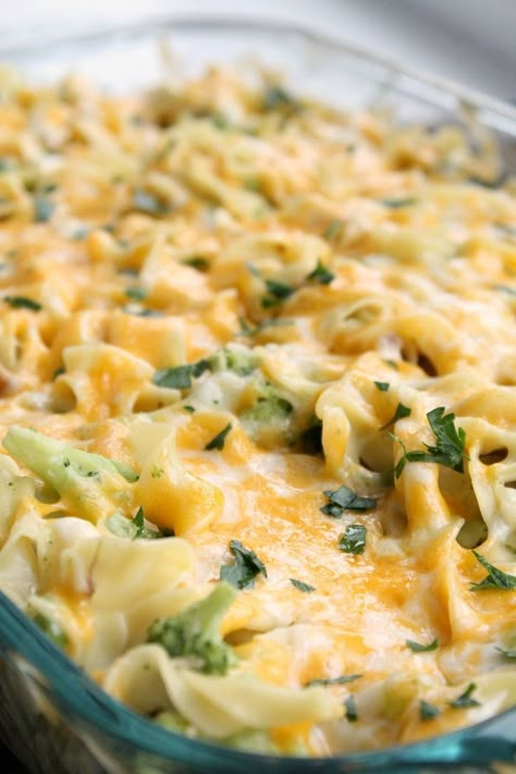 Chicken Casserole With Egg Noodles, Broccoli Noodle Casserole, Casserole With Egg Noodles, Egg Noodle Casserole, Broccoli Chicken Casserole, Panini Recipes Chicken, Egg Noodle Recipes, Noodle Casserole Recipes, Chicken Tikka Masala Recipes