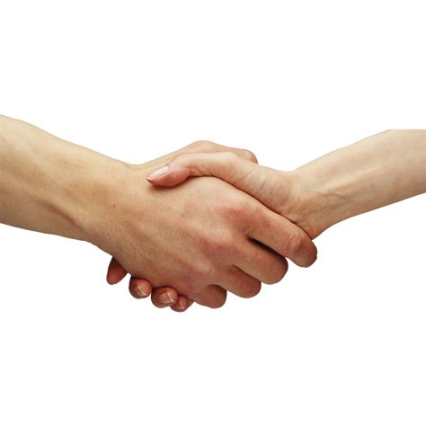 Handshake Reference, Handshake Aesthetic, Hands Grabbing, Png Pictures, Hand Png, Photo Clipart, Hand Reference, Photo Images, Drawing Reference Poses