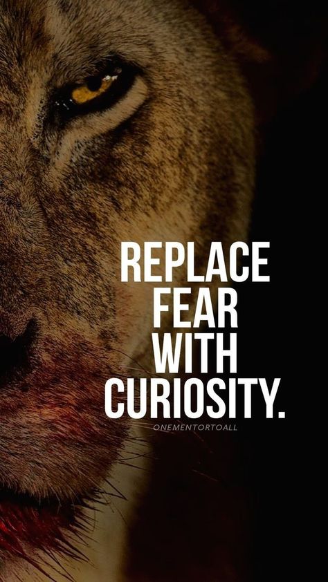 Elan Musk, Lion Mindset, Strong Lion, Winner Mindset, Tiger Quotes, Good Man Quotes, Mindset Poster, Study Inspiration Quotes, Lion Roar