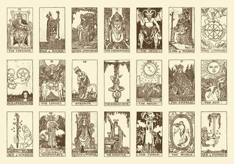 Set of ancient tarot illustrations for your mystic projects, fortune telling publications or tarot topics in your designs. Tarot Art Illustration, Empress Tarot Card, The Moon Tarot, Tiger Illustration, Free Tarot, Indie Art, Tarot Cards Art, Book Trailer, Black And White Background