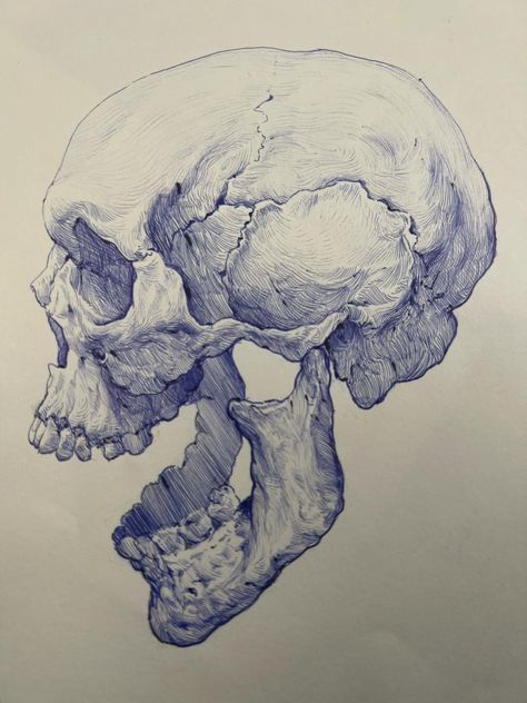 Skull Open Mouth Reference, Skull Anatomy Sketch, Skeleton Ink Drawing, Skeleton Head Reference, Human Skull Art, Skull Sketches Pencil, Skull Profile Drawing, Skull Pencil Drawings, Shackles Drawing