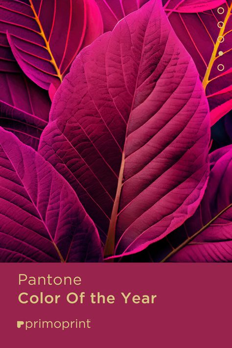 2024 is almost upon us and it’s that time of the year when Pantone announces their annual color pick. 2023 Pantone’s color pick of the year is PANTONE 18-1750, also known as Viva Magenta! Pantone Cardamom Seed, Pantone Magenta 2023, Pantone Viva Magenta Color Palette, Pantone Eggplant, Beetroot Purple Pantone, Marketing Advice, Color Pick, Color Of The Year, Pantone Color