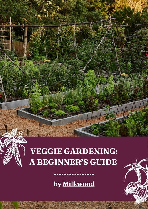 Beginner's Guide to Veggie Gardening. A free guide by Milkwood Garden Site, Structured Water, Starting A Vegetable Garden, Big Backyard, Veggie Patch, Permaculture Design, Market Garden, Veg Garden, Tall Plants