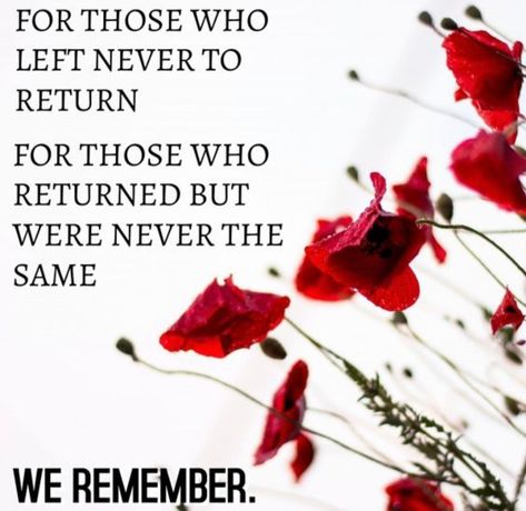 Veterans Day Remembrance, Poppies Memorial Day, Poppy Memorial Day, Remembrance Day Images, Memorial Day Poppy, Remembrance Day Photos, Remembrance Poppies, Remembrance Day Pictures, Memorial Day Remembrance