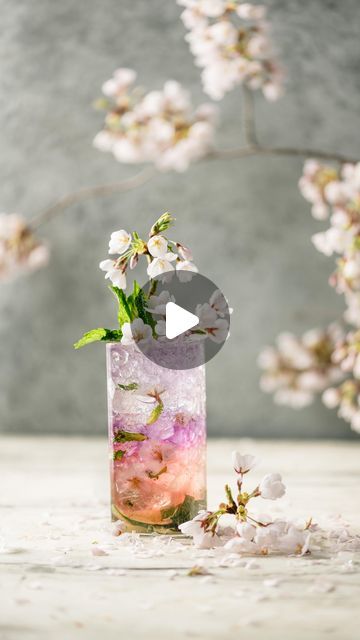 Food Photo/Videographer on Instagram: "Welcome, cocktail lovers! I‘m blending the beauty of Japanese sakura blossoms into a mesmerizing Sakura Mojito. This vibrant cocktail dances in shades of green, pink, and purple, capturing the essence of spring in every sip. Get ready to be whisked away to a blooming cherry blossom garden with this delightful recipe.
.
.
.
#mojitotime#cherryblossom#cherryblossomseason#sakura#sakurablossom#springcocktails#cocktailrecipes#botanicalgardens#gincocktails#nycfoodvideographer" Cherry Blossom Garden, Welcome Cocktail, Sakura Blossoms, Japanese Sakura, Blossom Garden, Pink And Purple, Mojito, Food Photo, Shades Of Green