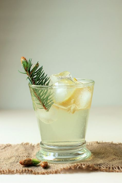 This delicate liqueur with the taste of forest sunshine is easy to make by steeping delicate spruce tips in spirits. It can be enjoyed for straight-up sipping or mixed into unique cocktails, like a Spruce Tip Martini or a light 'Forest Cocktail'. Try it for Father's Day  #Cocktails #FathersDay Forest Themed Cocktails, Woodland Cocktail, Forest Cocktail, Infusion Recipes, Blueberry Cocktail, Wine Maker, Day Cocktails, Spruce Tips, Light Forest