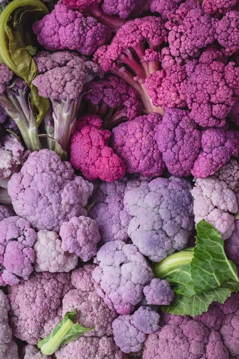 Purple cauliflower is a general all-encompassing name for all varieties of cauliflower whose heads are purple, from light lavender to dark violet. #purplecauliflower #cauliflower Purple Vegetables, Orange Cauliflower, Cauliflower Plant, Purple Cauliflower, Goth Garden, Purple Fruit, Purple Potatoes, Purple Carrot, Unique Vegetables