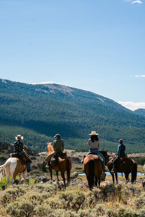 A Wyoming Glamping Experience: Paintrock Canyon Ranch - Wyoming Travel Road Trips, Best Trout Flies, Montana Ranch, Canyon Ranch, Wyoming Travel, Fly Fishing Flies Trout, American Road Trip, Horse Ranch, Western Aesthetic