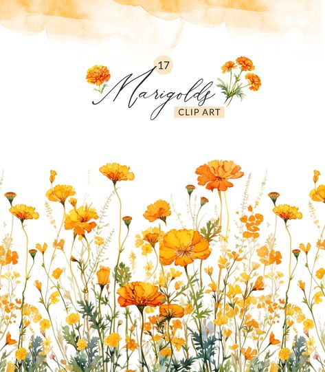 Watercolor Marigold, Clipart Frames, Floral Wedding Invitation Card, Marigold Flower, Clear Background, Frame Clipart, Flower Template, Floral Wedding Invitations, Diy Canvas Art