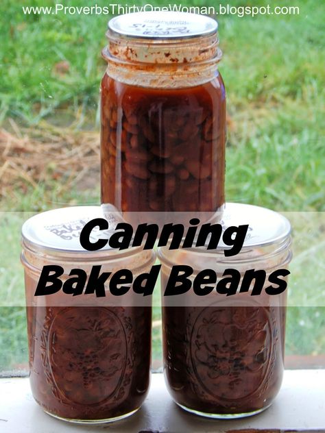 Proverbs 31 Homestead: Canning Baked Beans Canning Baked Beans, Canned Bean Recipes, Bean Recipes Healthy, Freezing Food Preservation, Maple Beans, Canned Beans Recipe, Canning Beans, Salty Side Dish, Canned Baked Beans