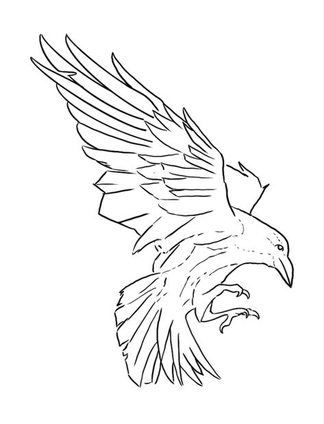 Crow Line Art Tattoo, Crow Sketch Tattoo, Raven Line Art Tattoo, Raven Outline Drawing, Raven Drawing Sketch Simple, Crow Line Tattoo, Raven Tattoo Linework, Raven Sketch Simple, How To Draw Raven