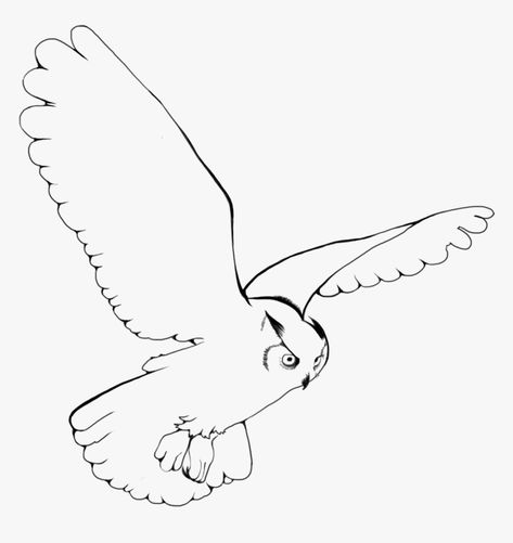 Owl Flying Drawing, Snowy Owl Drawing, Owl Flying, Owl Drawing Simple, Owl Sketch, Fly Drawing, Owl Printables, Purple Books, Owl Wings