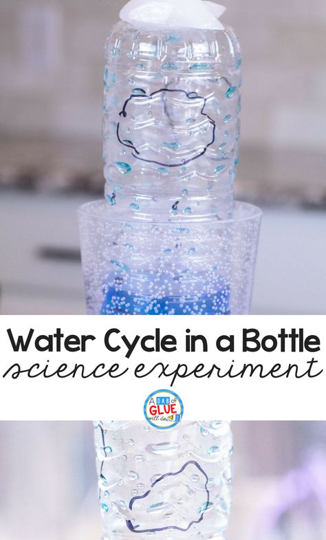 Make science fun and interactive with this water cycle in a bottle experiment. Great for early learners. #science #watercycle Water Cycle Experiment, Water Cycle Project, Water Cycle Activities, Vetenskapliga Experiment, Science Experiments Kids Elementary, Water Experiments, First Grade Science, Kid Experiments, Water Cycle