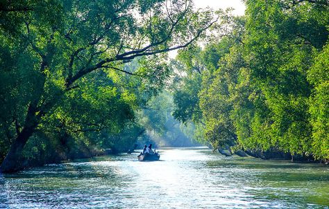 Sketching Ideas, Mangrove Forest, Tourist Sites, Historical Monuments, West Bengal, Destin Beach, Tour Packages, Unesco World Heritage Site, Unesco World Heritage