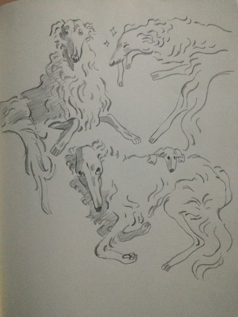 Borzoi Daily — frightbite: beauty dogs… ref... Borzoi Illustration, Borzoi Tattoo, Borzoi Drawing, Borzoi Art, Borzoi Dog, Arte Sketchbook, Arte Inspo, Funky Art, Art Reference Photos