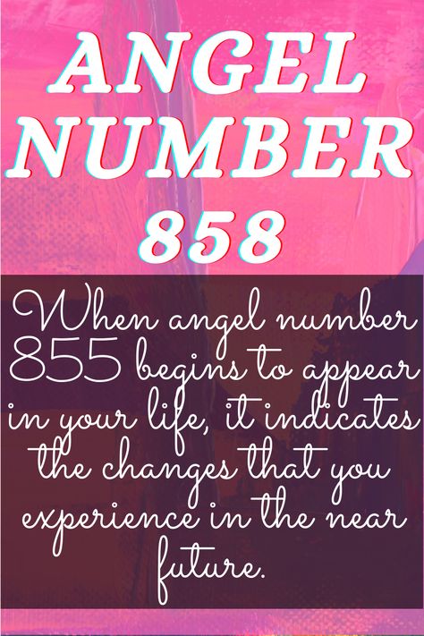 Do you keep seeing angel number 858? Want to know it's meaning?| What angel number 858 mean in love and numerology?#spiritualhealing #spiritual healer #mindandsoul #manifestation 858 Angel Number Meaning, Angel Number Meaning, Mustard Pickles, Angel Number Meanings, Number Meanings, Spiritual Healer, Gods Plan, Angel Number, Angel Numbers