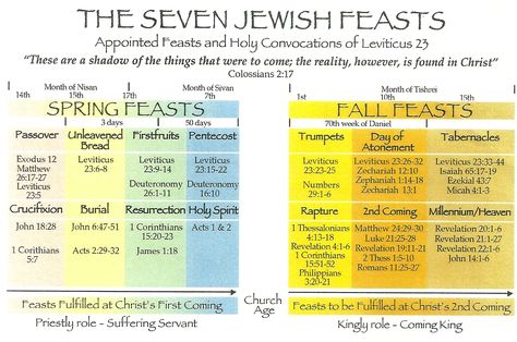 feasts prophecy | In Leviticus 23, the Lord appointed seven feasts as yearly rehearsals ... Leviticus 23, Jewish Feasts, Feasts Of The Lord, Messianic Jewish, Jewish Calendar, Feast Of Tabernacles, Jewish Festivals, Bible Study Help, Learn Hebrew