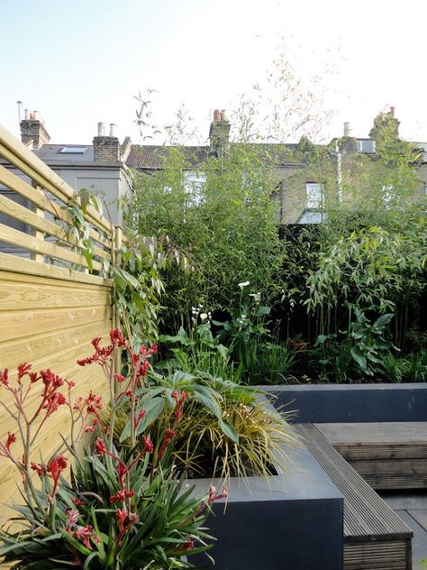 Urban tropical - Tropical - Garden - London - by antonia schofield garden design | Houzz UK Layout Landscape Design, Planting Layout, Tropical Patio, Layout Landscape, Garden Bed Layout, Beds Uk, Clematis Montana, Garden Tropical, Gravel Landscaping