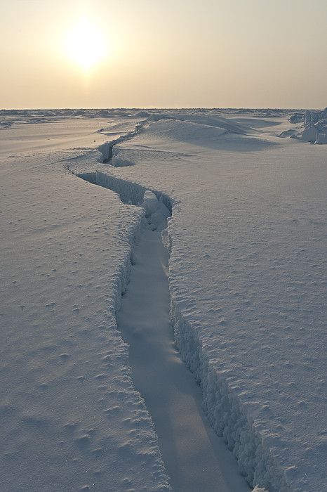 Arctic Landscape, Winter Sunset, Natural Art, New Earth, Dark Matter, Nature Wall, Winter Aesthetic, Nature Wall Art, Love Images