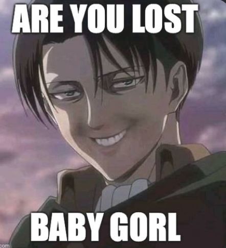 Aot Memes Funny, Aot Meme, Aot Levi, Aot Funny, Aot Memes, Attack On Titan Funny, Anime Funny Moments, Funny Profile, Anime Jokes