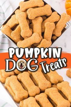 Pumpkin Cinnamon Dog Treats, Pumpkin Peanut Butter Dog Treats Recipes, Treats For Dogs With Kidney Problems, Low Carb Dog Treats, Cheddar Cheese Dog Treats, Allergy Friendly Dog Treats, Crafts With Pets, Pumpkin Dog Treats Homemade Recipes, Pumpkin Dog Cookies Recipe