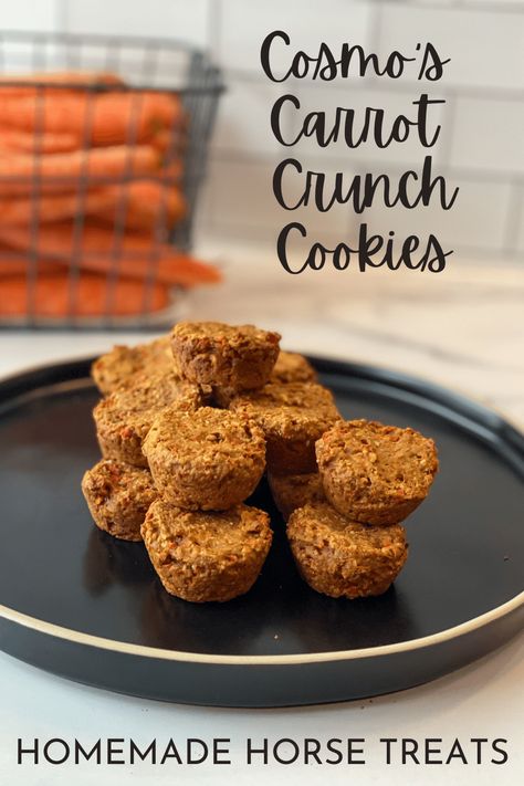 Cosmo's Carrot Crunch Cookies {Horse Treats} Homemade Horse Cookies, Horse Treats Recipe Easy, Horse Snacks, Horse Cookies Recipes, Homemade Horse Treats, Crunch Cookies, Pet Treats Recipes, Carrot Cookies, Apples Cinnamon