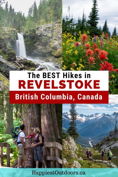 Hiking Canada, Mount Revelstoke National Park, Revelstoke Bc, British Columbia Travel, Hiking Trips, Canada National Parks, Canadian Travel, Van Build, Tasmania Australia