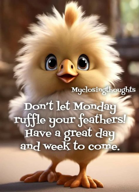 Monday Morning Quotes Funny, Good Night Monday, Monday Morning Greetings, Happy Monday Images, Good Morning Animals, Happy Monday Quotes, Monday Morning Quotes, Good Morning Happy Monday, Funny Day Quotes