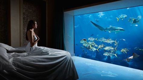 Underwater Hotel Room, Underwater Bedroom, Underwater Hotel, Fish Under The Sea, Honeymoon Destination Ideas, Burj Al Arab, Palm Jumeirah, Beach View, Honeymoon Destinations