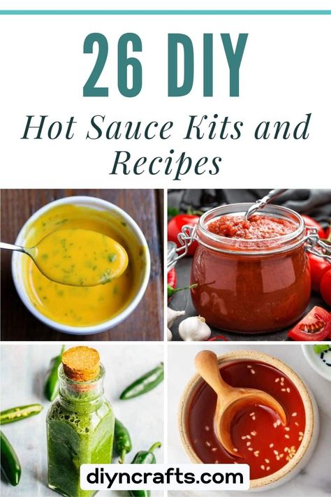 26 DIY Hot Sauce Kits and Recipes Hot Sauce Making Kit, Easy Hot Sauce Recipe, Diy Hot Sauce Recipes, Hot Sauce Recipe Homemade, Diy Hot Sauce, Ghost Pepper Hot Sauce, Habanero Chili, Red Jalapeno, Habanero Hot Sauce