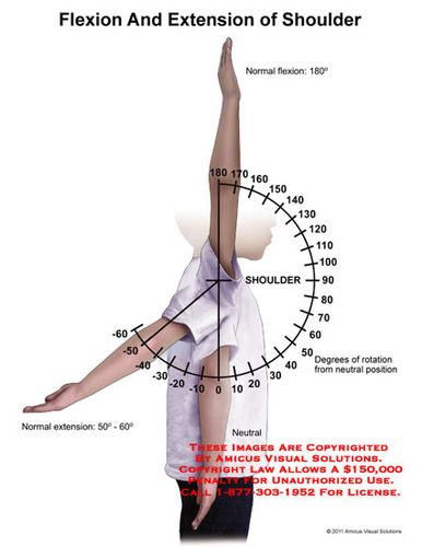 Shoulder Range Of Motion, Flexion And Extension, Shoulder Anatomy, Physical Therapy School, Physical Therapy Assistant, Occupational Therapy Assistant, Sports Therapy, Yoga Anatomy, Skeletal System