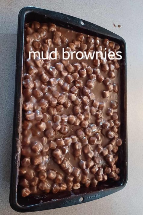 Chocolate Mud Bars, Smore Brownies With Box Brownies, Brownies S’mores, Guinea’s Brownies, Mud Brownies, Melted Butter, Cocoa Powder, Brownies, Cocoa