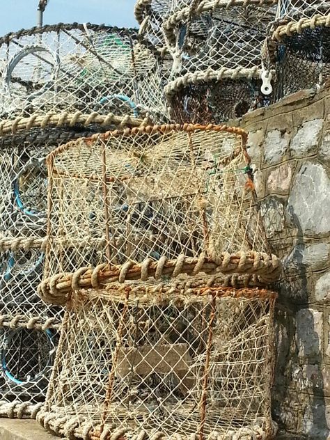 Lobster Pots. I am making a light shade out of a Crab Net... Lobster Fisherman, Crab Net, Districts Of Panem, Crab Pot, Fish Nets, Basket Light, Lobster Trap, Fish Net, Fishing Nets