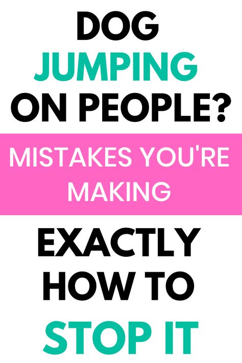 Stop dog jumping up Dogs Jumping, House Guests, Dog Behavior Problems, Loving Animals, Dog Training Techniques, Aggressive Dog, Dog Biting, Behavior Problems, Dog Obedience