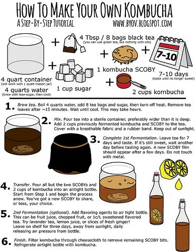 Illustrated Tutorial for Making Fermented Kombucha Tea by iriskh, via Flickr Fermented Beverages, Kombucha Recipes, Make Your Own Kombucha, Kombucha Brewing, Fermented Drinks, Kombucha Flavors, Kombucha Scoby, How To Brew Kombucha, Homemade Kombucha