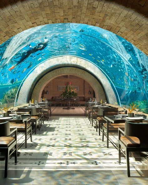 Bali Restaurant, Underwater Hotel, Underwater Restaurant, Underwater House, Kempinski Hotel, Top 10 Restaurants, Underground Tunnels, Unique Restaurants, Michelin Star